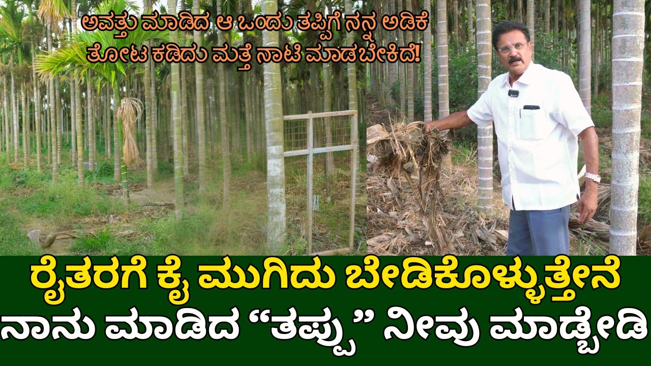 ಅವತ್ತು ಮಾಡಿದ ಆ ಒಂದು ತಪ್ಪಿಗೆ ನನ್ನ ಅಡಿಕೆ ತೋಟ ಕಡಿದು ಮತ್ತೆ ನಾಟಿ ಮಾಡಬೇಕಿದೆ|ARECA NUT FARMING IN KANNADA