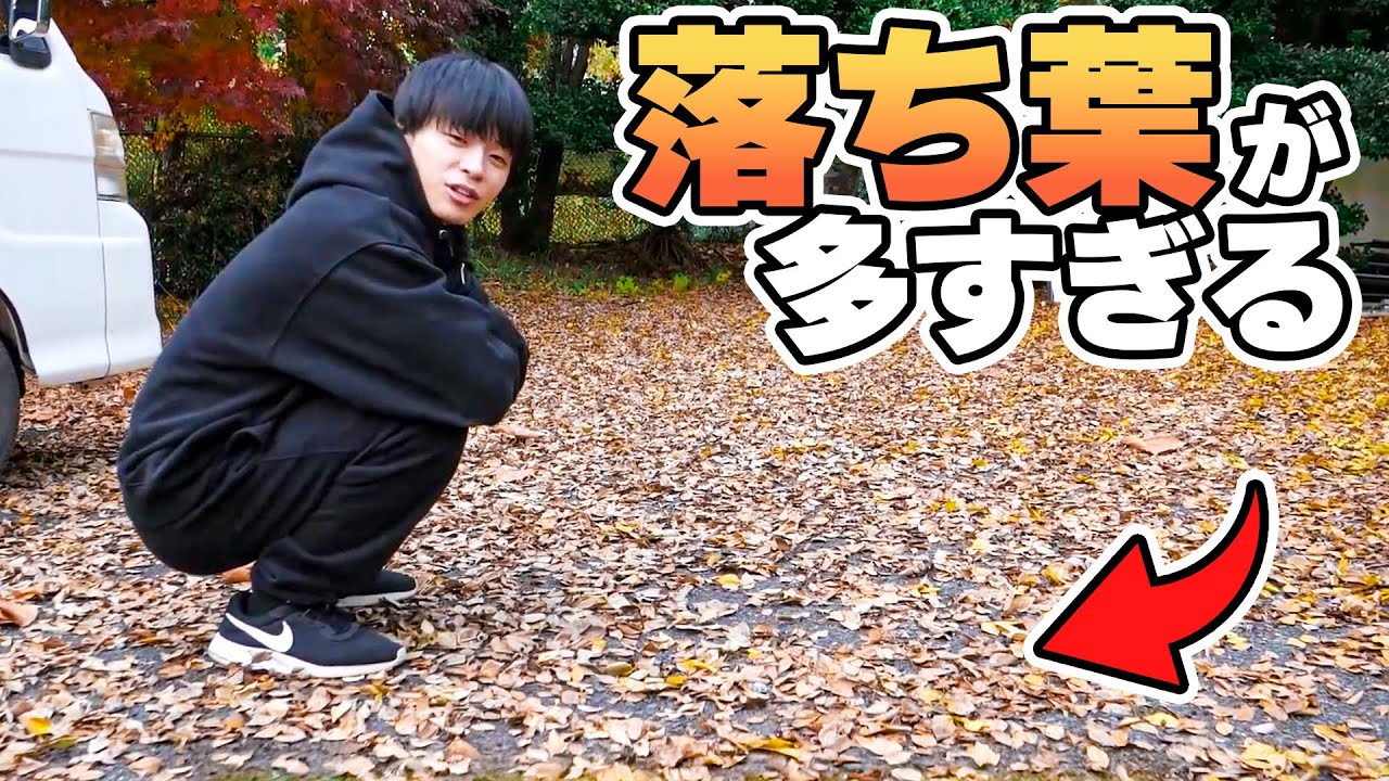 自宅の落ち葉が尋常じゃない件【掃地獄】