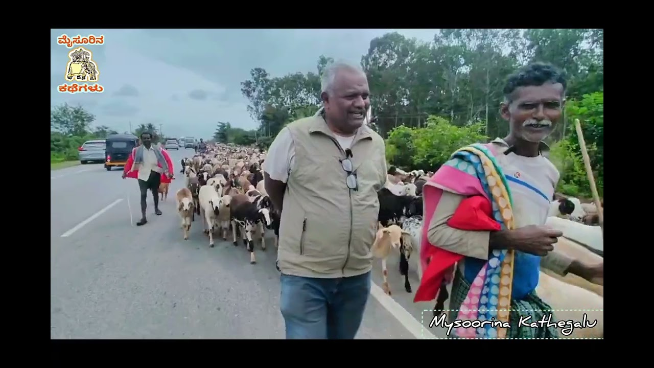 EP05 | ಚಾಮರಾಜನಗರ | ಪ್ರತಿದಿನ 50ಕಿಮಿ ನಡಿಗೆ | 1500 ಕುರಿಗಳು | ಕುರಿಗಾಹಿಗಳ ಕಠಿಣತಮ ಬದುಕು...