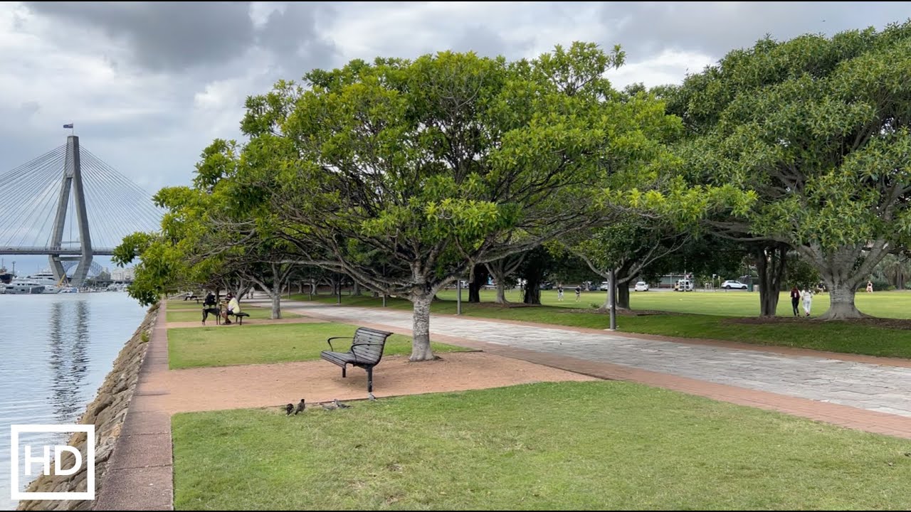 [HD] Afternoon walk through Glebe parklands and foreshore | Ambient Park Sounds ASMR