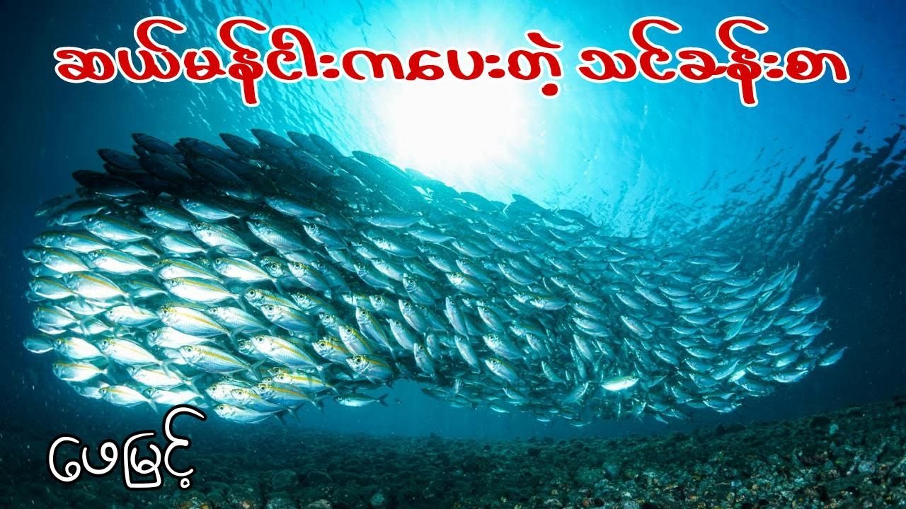 ဆယ်မန်ငါးကပေးတဲ့ ဘ၀သင်ခန်းစာ #ဖေမြင့် #၀တ္ထုတို #audiobookmm