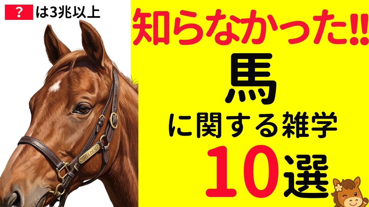 【明日話せる】馬に関する雑学10選