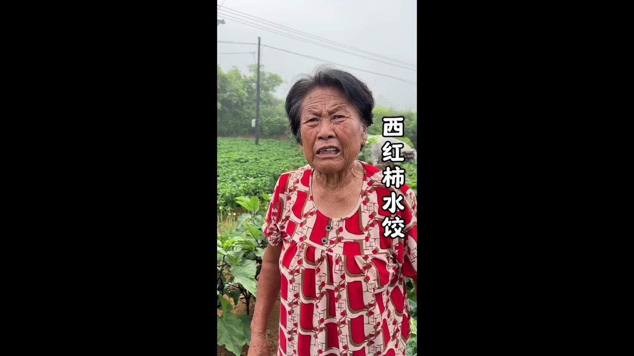 秋天的第一份饺子…… #今日立秋  #农村生活 #乡村美食