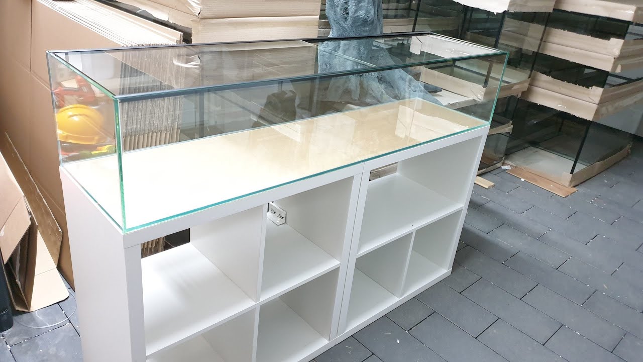 180l Kallax Aquarium fürs Quadratregal von AMAZONASBECKEN.eu