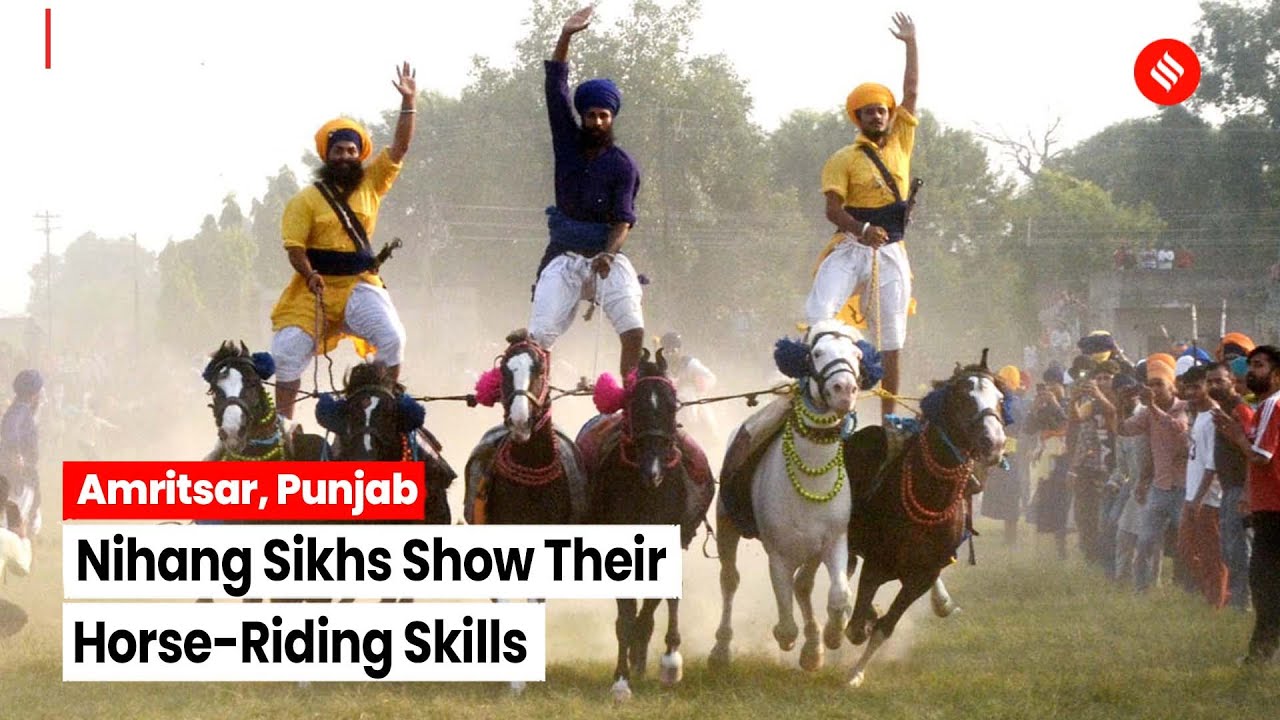 Amritsar: Nihang Sikhs Show Their Horse-Riding Skills During 'Bandi Chhor Divas' Celebrations