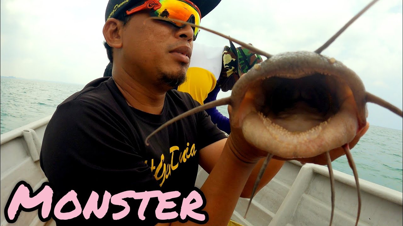 Dapat Gemang Bersama Cikgu // Monster Black Eel Catfish