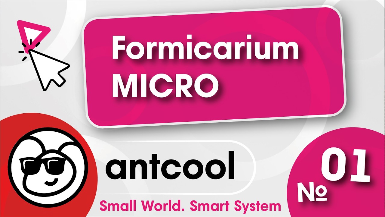 ANTCOOL Micro | Starter Formicarium for Queen & First Workers