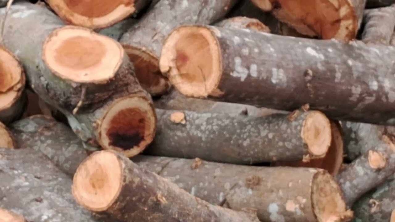 PANATHHURA SUBRAMANIYAN-HD-പനത്തുറ 01,13012026,''മലയാളത്തിൽ പാതി ഇടയാവണത്ത്''8°41'72.2N 76°96'54.9E