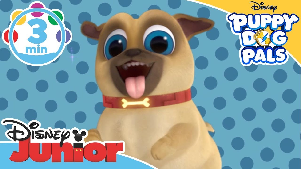 Puppy Dog Pals | The Bone Song - Learn to Count Game  | @disneykids