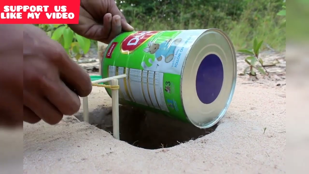 Creative Hole Parrot Bird Trap make with Milk Cans.