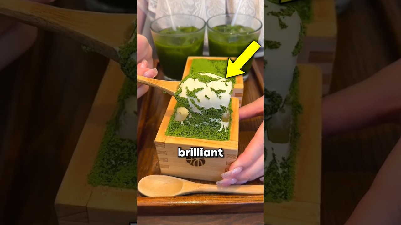 Things in Japan that are totally Brilliant! 🧠🇯🇵