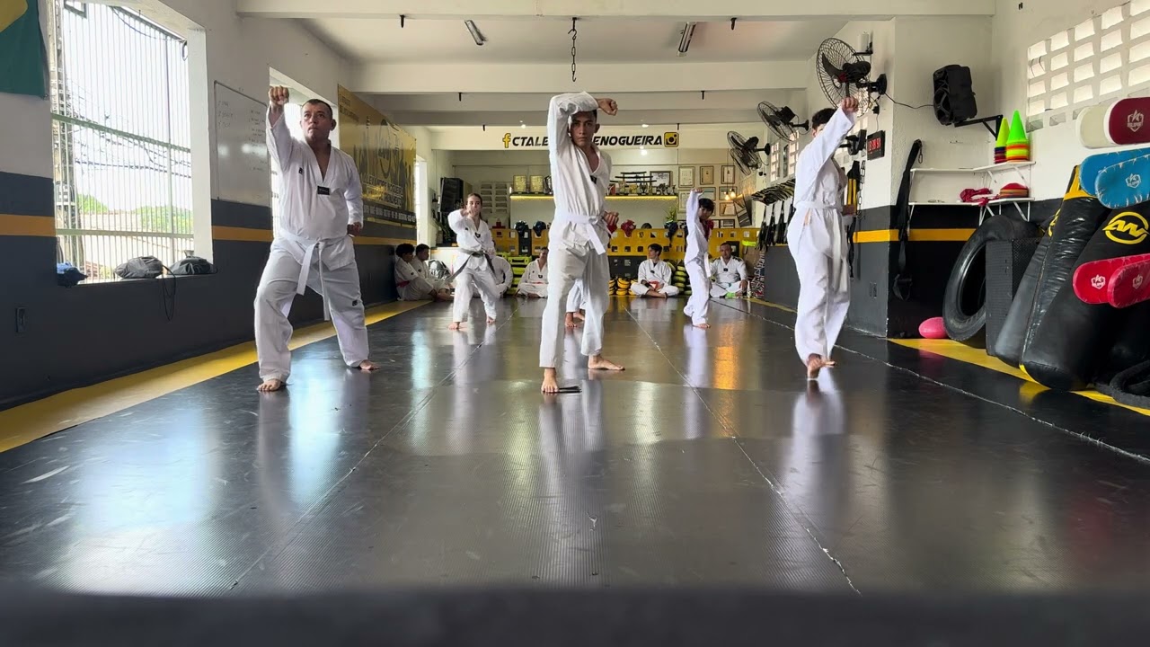 Exame de faixa branca Taekwondo