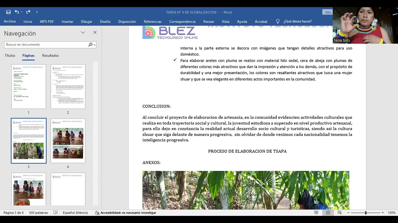 Proyecto con el tema de artesanía 