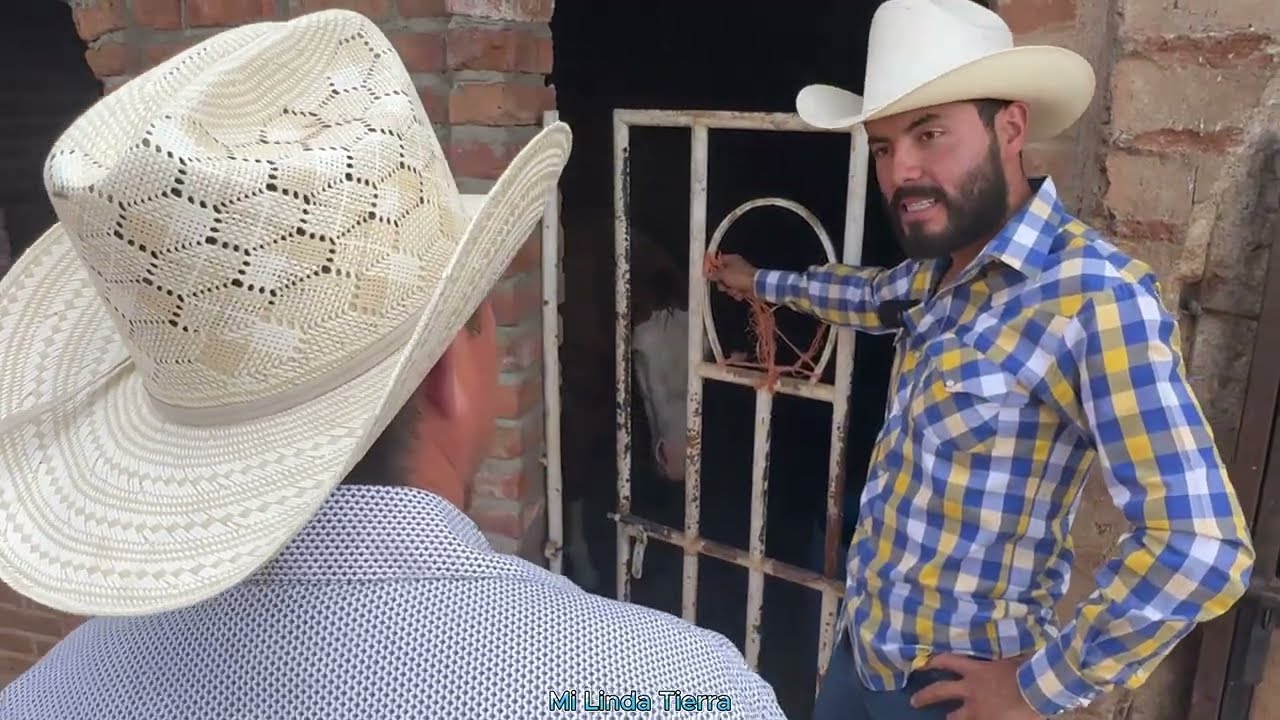 NOS DEDICAMOS A DARLES RIENDA CHARRA A LOS CABALLOS Y RIENDA DE CALA EN SIENEGITAS ZAC
