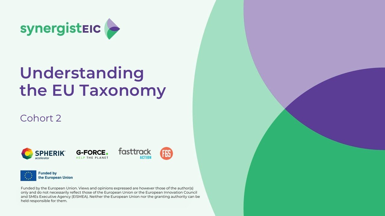 Understanding the EU Taxonomy