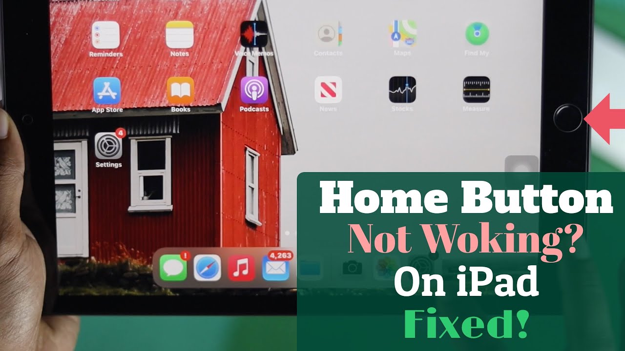 Fixed: Home Button Not Working on iPad!