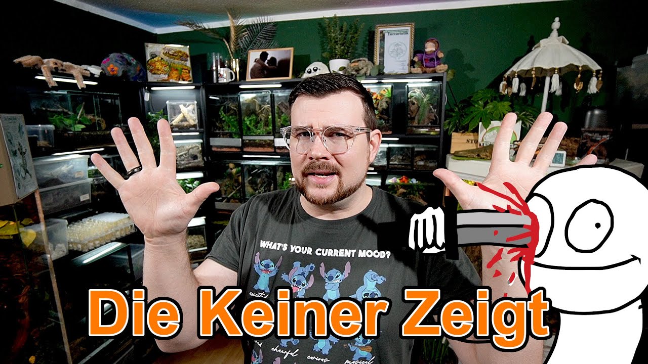 10 annoying things in terrarium keeping