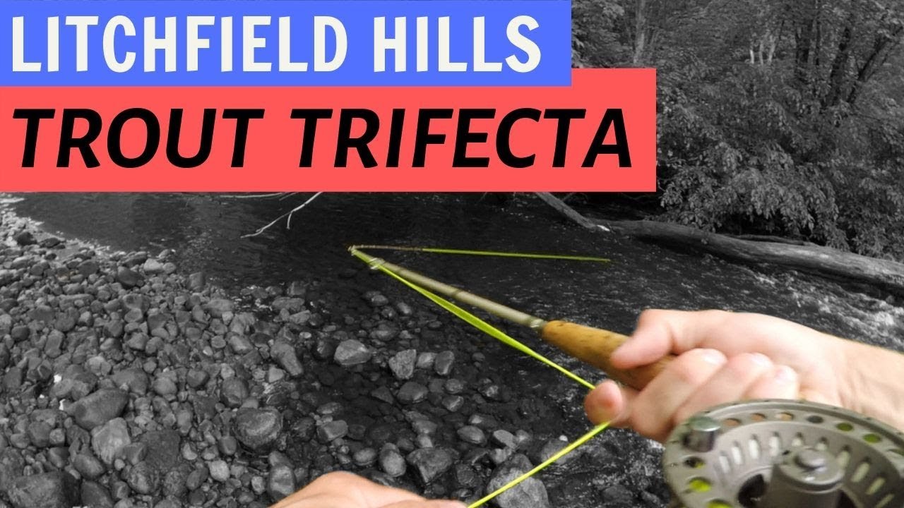 Connecticut Trout Tour, Part III: Leadmine Brook (Trifecta!)