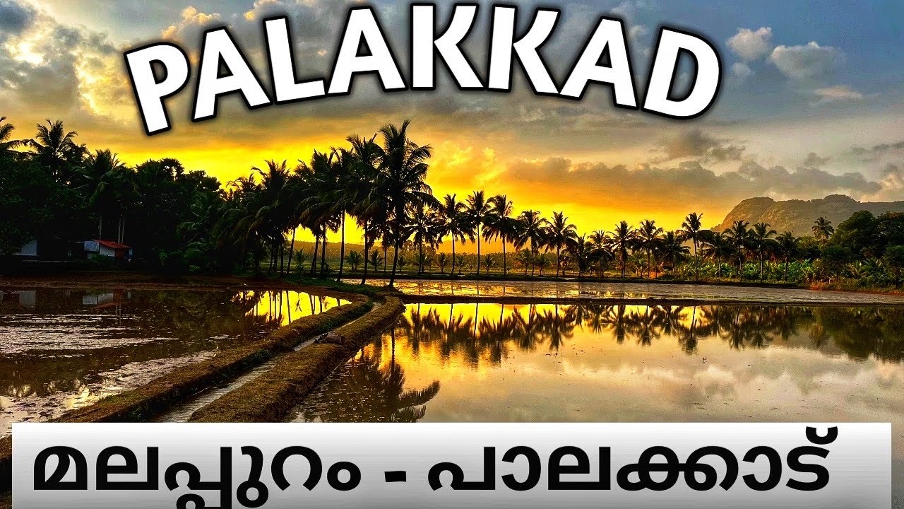 Road trip from Malappuram to Palakkad|Paddy Fields and Hill view combination Nenmara Palakkad|