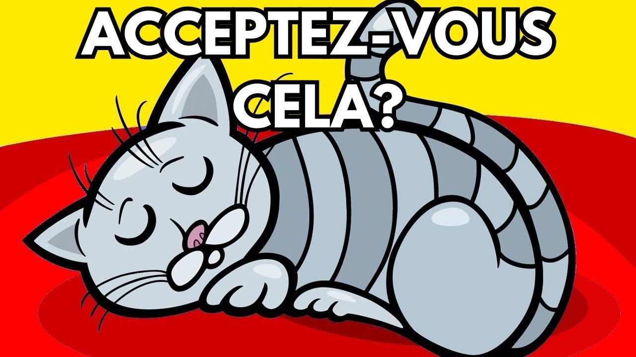 Pourquoi votre Chat dort avec vous ?
