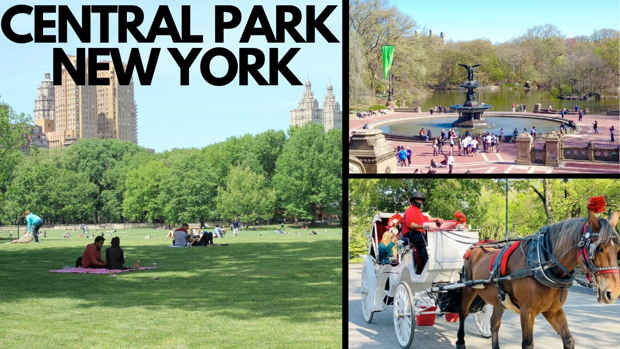 Central Park New York City (4K)