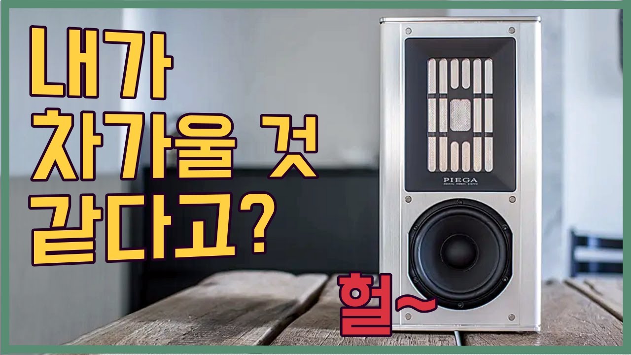 스위스 동축 리본 - 얼마나 훈훈한 지 알아?  피에가 COAX 311 LTD