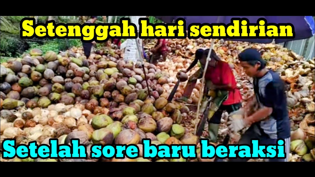 Ful kupas kelapa gundul,sepagian sendiri,sampai malam ngupas kelapa tapi lumayan hasilnya