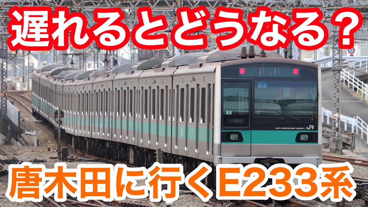 【ゆっくり解説】唐木田に行くE233系 遅延すると小田急線内はどうなる？