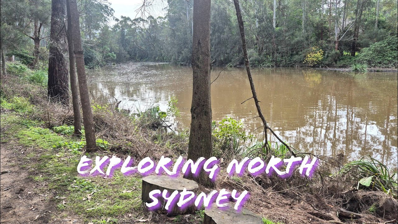 Exploring North Sydney