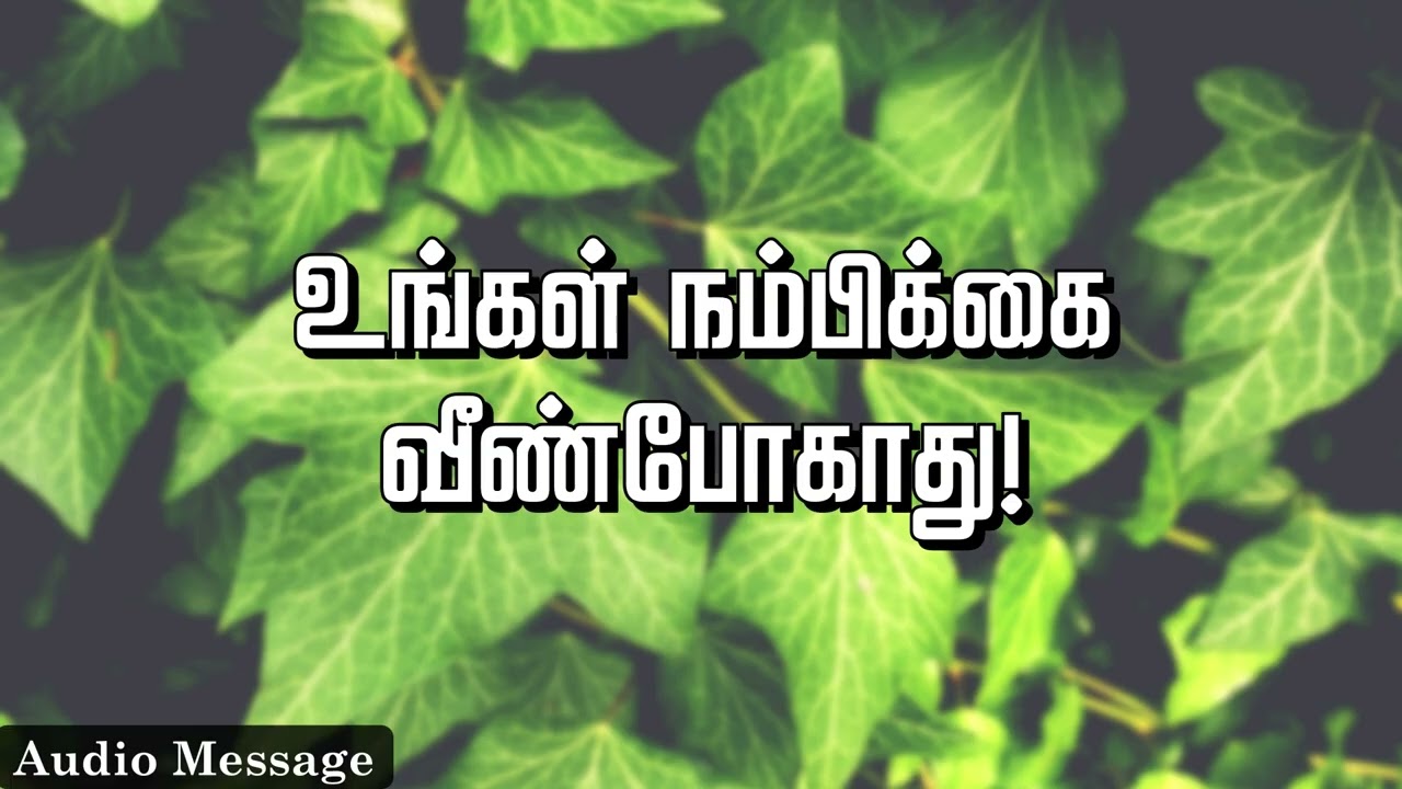 ஆவிக்குரிய சிந்தனை | உங்கள் நம்பிக்கை வீண்போகாது! | Spiritual Thoughts |