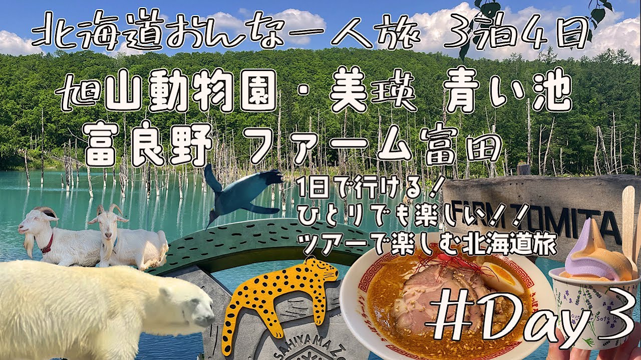 【北海道／女ひとり旅③】北海道の観光地１日完結！バスツアーで巡る旭山動物園•青い池•ファーム富田！絶対食べたい北海道グルメを堪能！セコマ購入品紹介！3泊4日北海道ひとり旅Vlog3