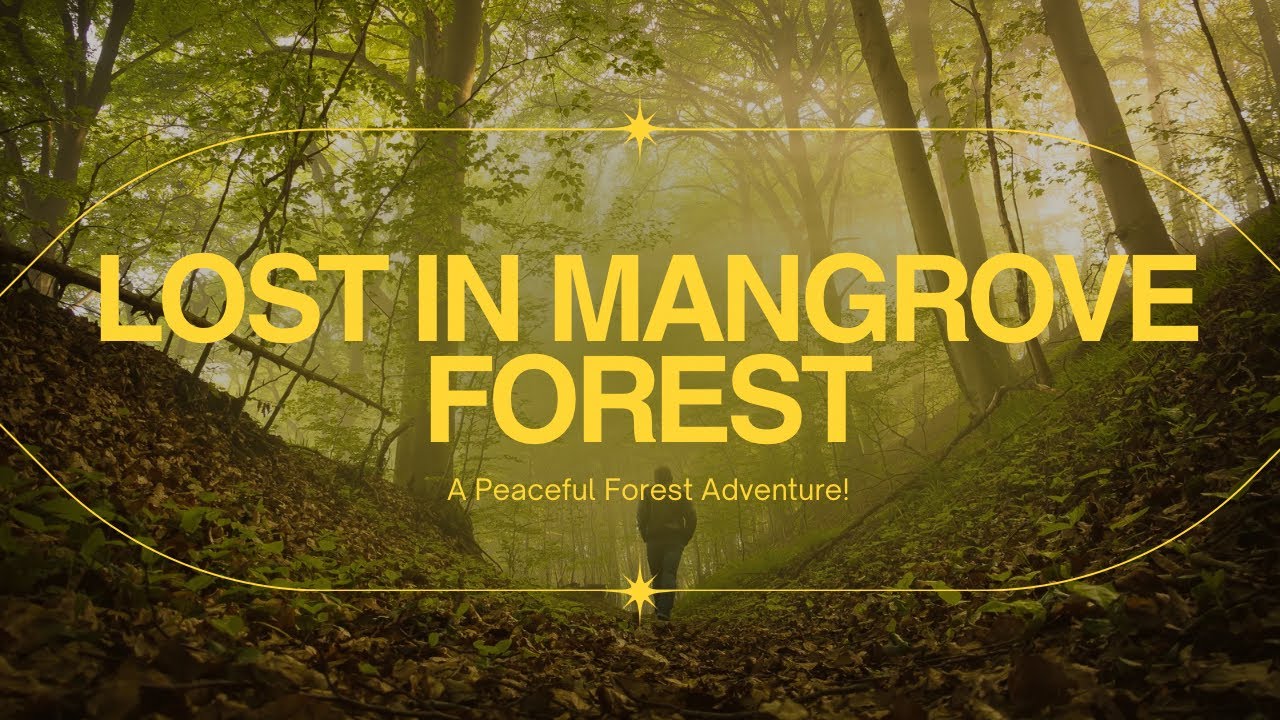 We invaded a bat cave | Exploring mangrove forest for the first time | Back with Malaysia series 🇲🇾 