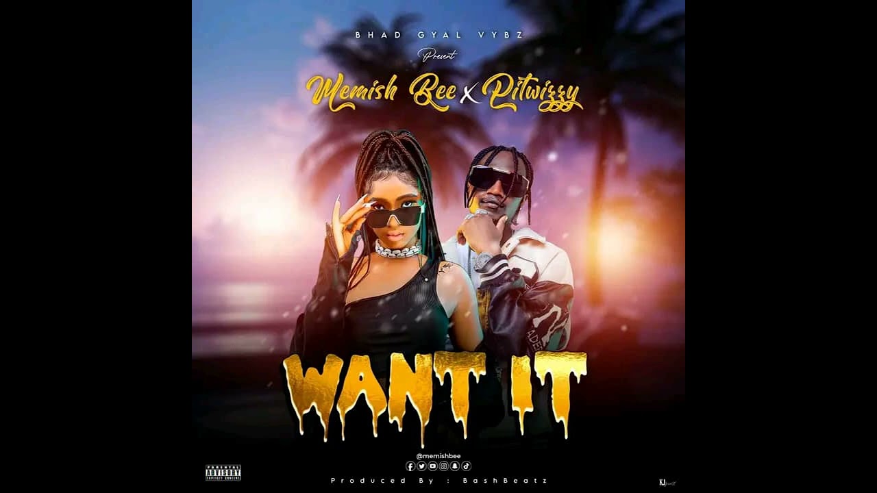 WANT IT memish bee ft pitwizzy