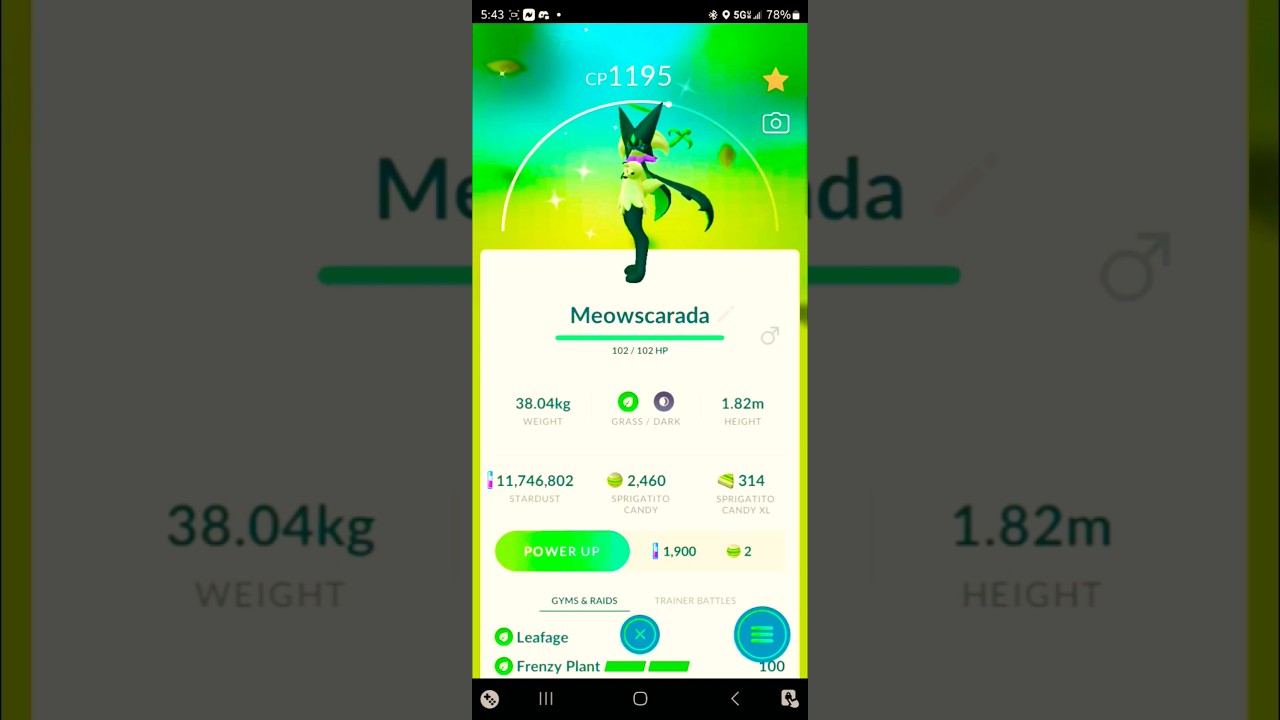 ✨SHINY Sprigatito Family! (Floragato, Meowscarada) Pokemon Go! #pokemon #pokemongo #pok&eacute;mongo