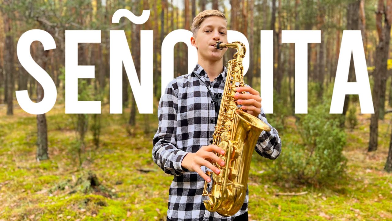 Señorita - Shawn Mendes & Camila Cabello [Davi Sax Cover]