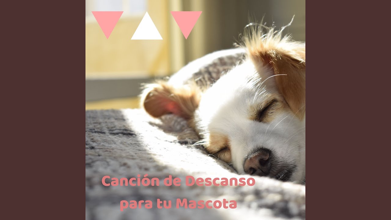 Melod&iacute;a Suave para el Sue&ntilde;o de tu Compa&ntilde;ero Animal