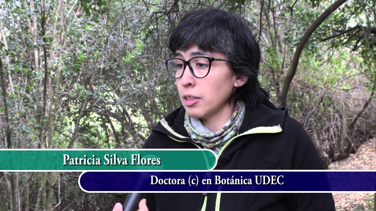 Micorrizas en árboles nativos