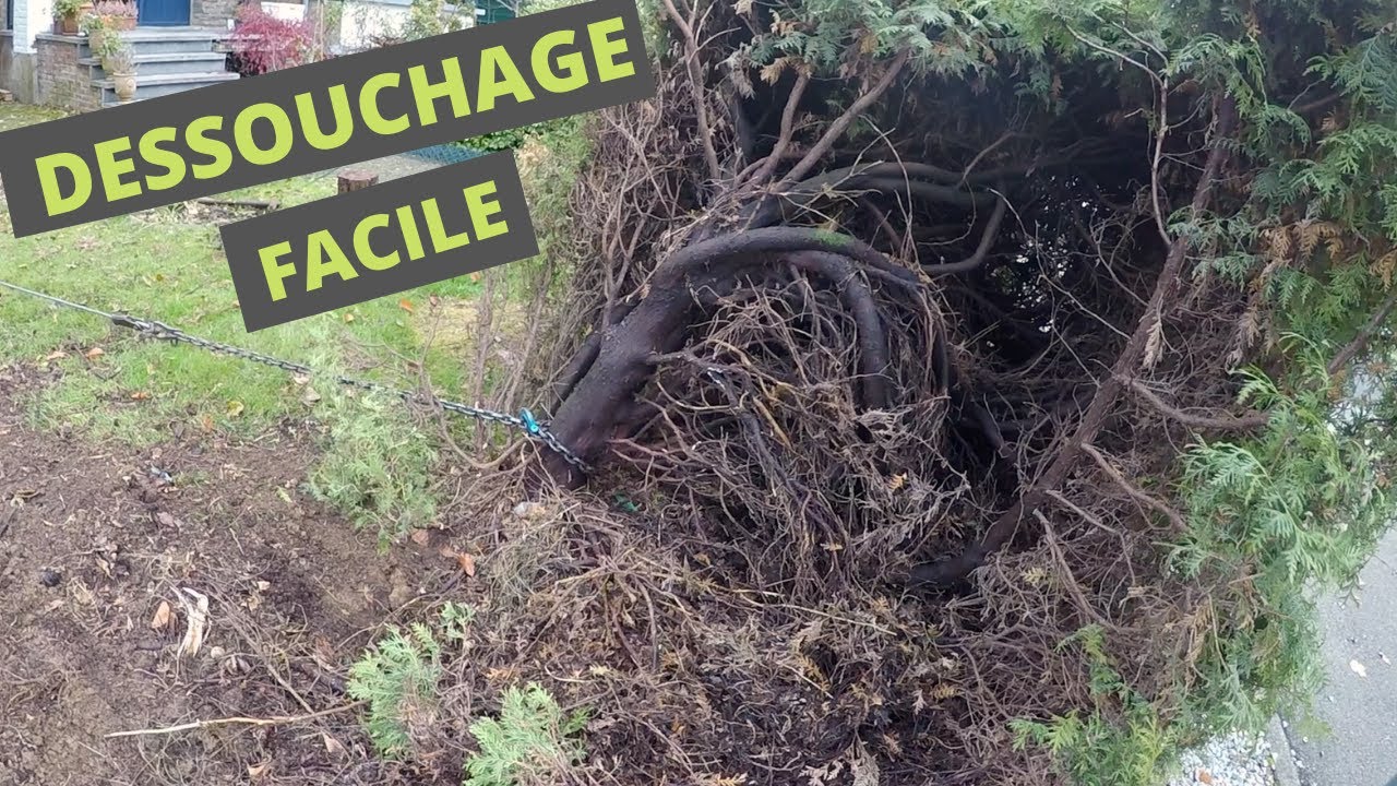 ARRACHAGE D'UNE HAIE