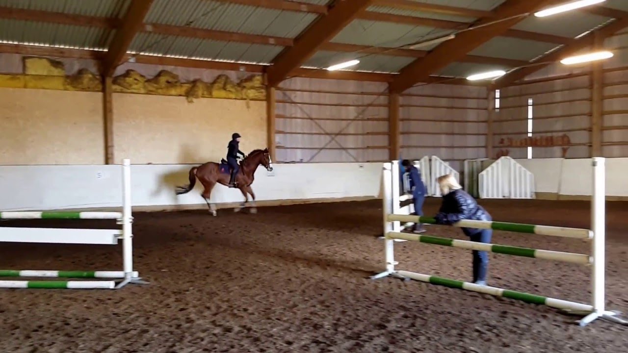 Socrates - Heidi-kurs - 23.03.2016