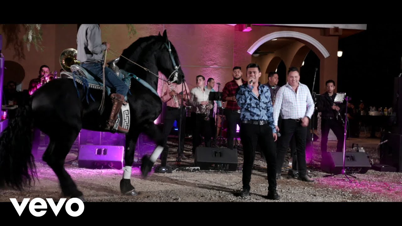 Gustavo Palafox - En El Movimiento (En Vivo)