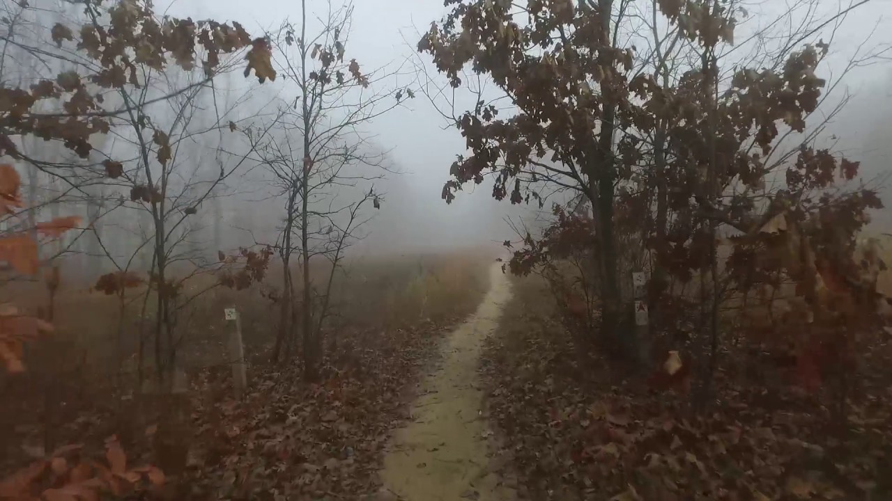 Fog in the Forest - Al Sabo Land Preserve Virtual Run