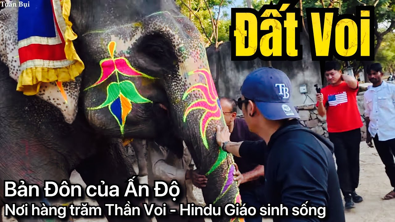 🇮🇳 Ngôi nhà của Hậu Duệ Thần Voi Ấn Độ - Elephant Village in Jaipur India - First time impressions