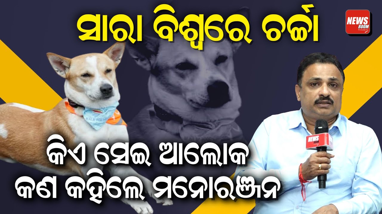 ସାରା ବିଶ୍ବରେ ଚର୍ଚ୍ଚା, କିଏ ସେଇ ଆଲୋକ, କଣ କହିଲେ ମନୋରଞ୍ଜନ | Peace Dog | Indian Dog | Aloka | News Room |