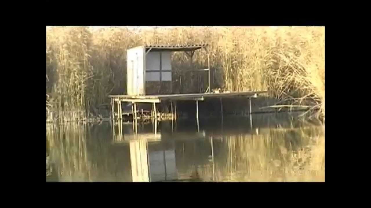 A Fehérpart-Szilvás 2011. őszén