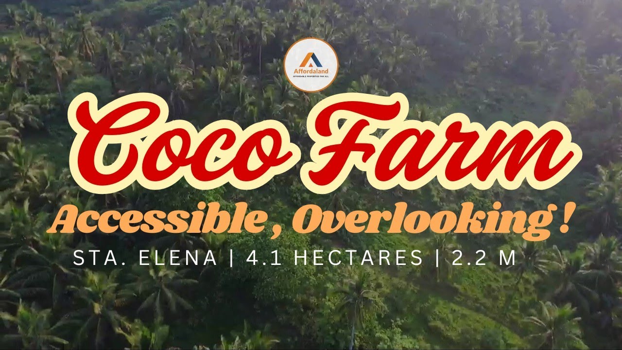 V124  ACCESSIBLE OVERLOOKING COCOFARM| 4.1 HECTARES| 2.2 M| STA ELENA#farmlot #propertyforsale