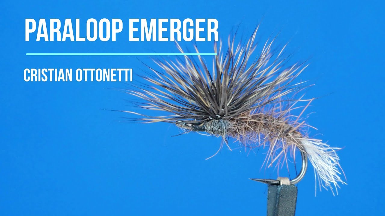 Dry fly Paraloop emerger