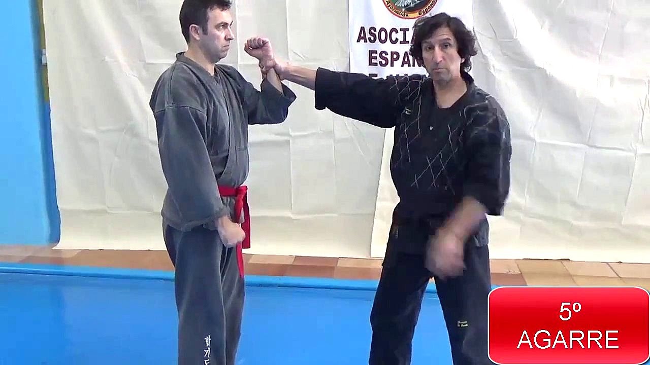 10 AGARRES DE HAPKIDO