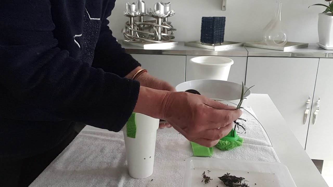 SEMI HYDRO & MICRO FIBER - How to Make a DIY Self Watering Set Up | Cheap & Effective  #ninjaorchids