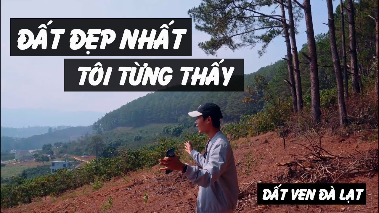 Đất Ven Đà Lạt Đẹp Nhất Tôi Từng Thấy | Lưng Tựa Đồi Thông, View Suối Cam Ly