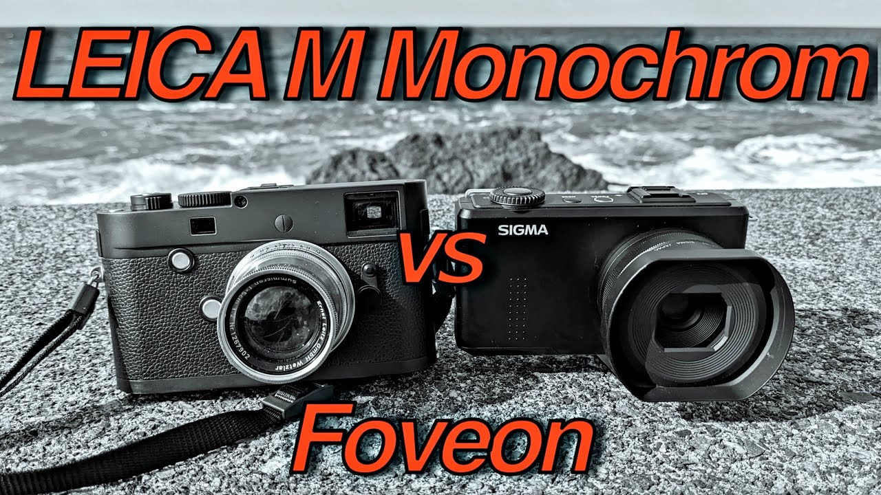 LEICA M Monochrom  vs SIGMA Foveon